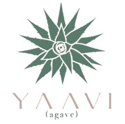 YAAVI (agave)