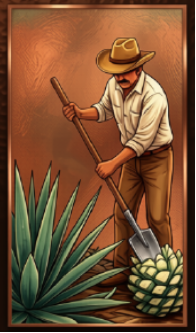 Jimador cortando las pencas del agave con el coa